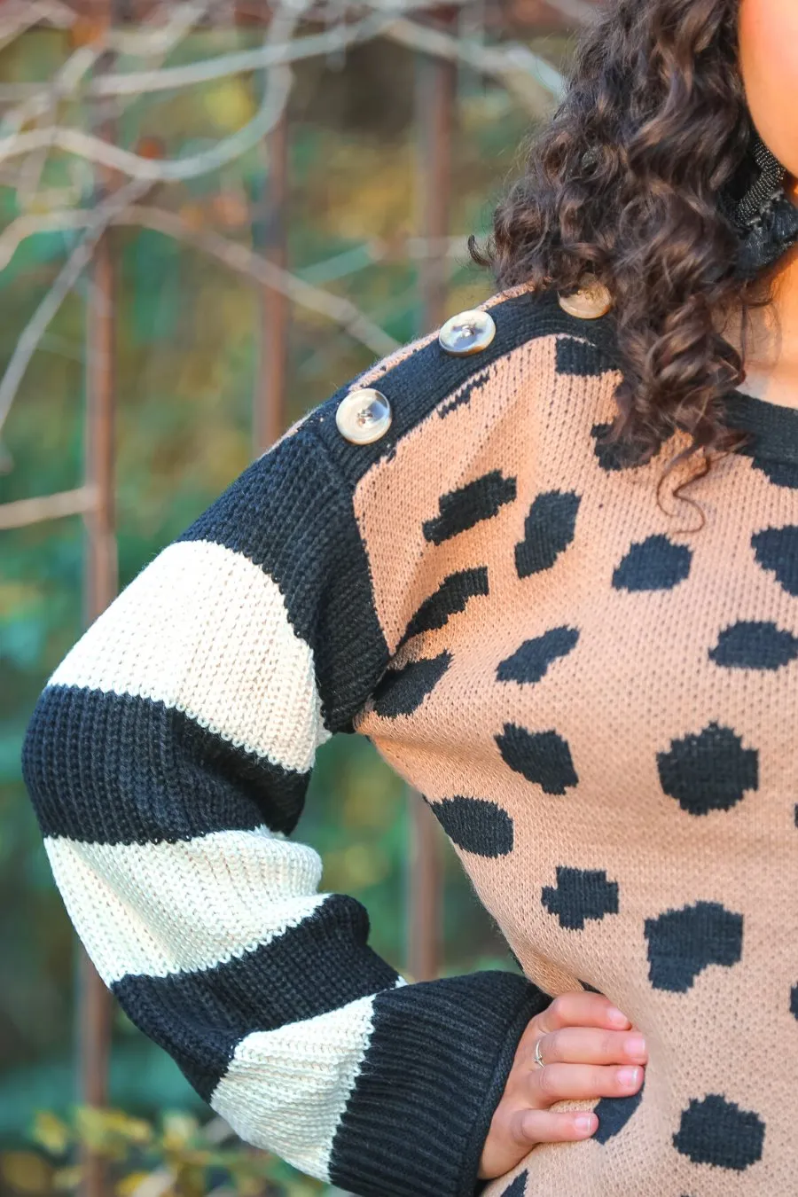 James Leopard Button Sweater