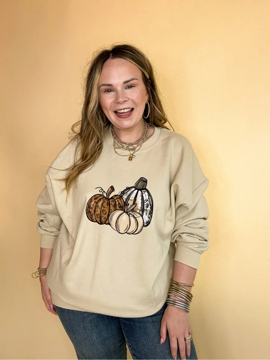 Online Exclusive | Trio Fall Variety Pumpkins Graphic Sweatshirt in Multiple Color Options