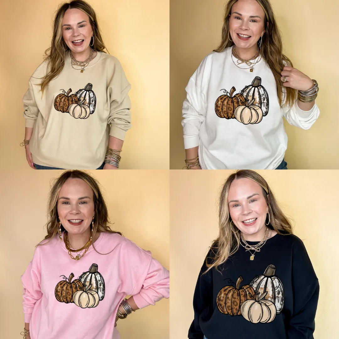 Online Exclusive | Trio Fall Variety Pumpkins Graphic Sweatshirt in Multiple Color Options