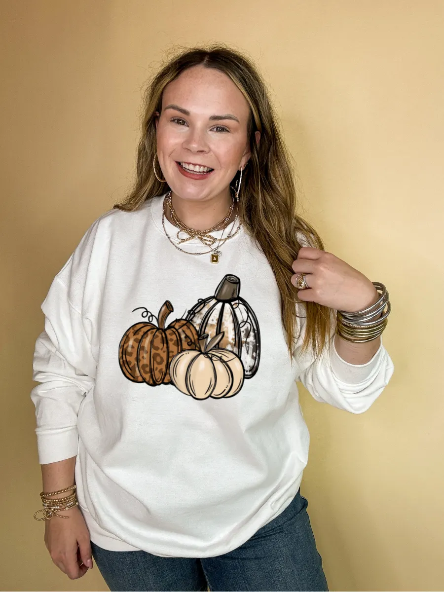 Online Exclusive | Trio Fall Variety Pumpkins Graphic Sweatshirt in Multiple Color Options